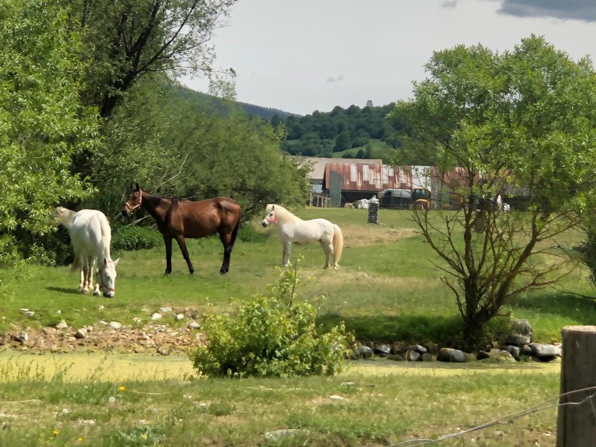 Zazi Apartmany Mýto pod Ďumbierom Bagian luar foto
